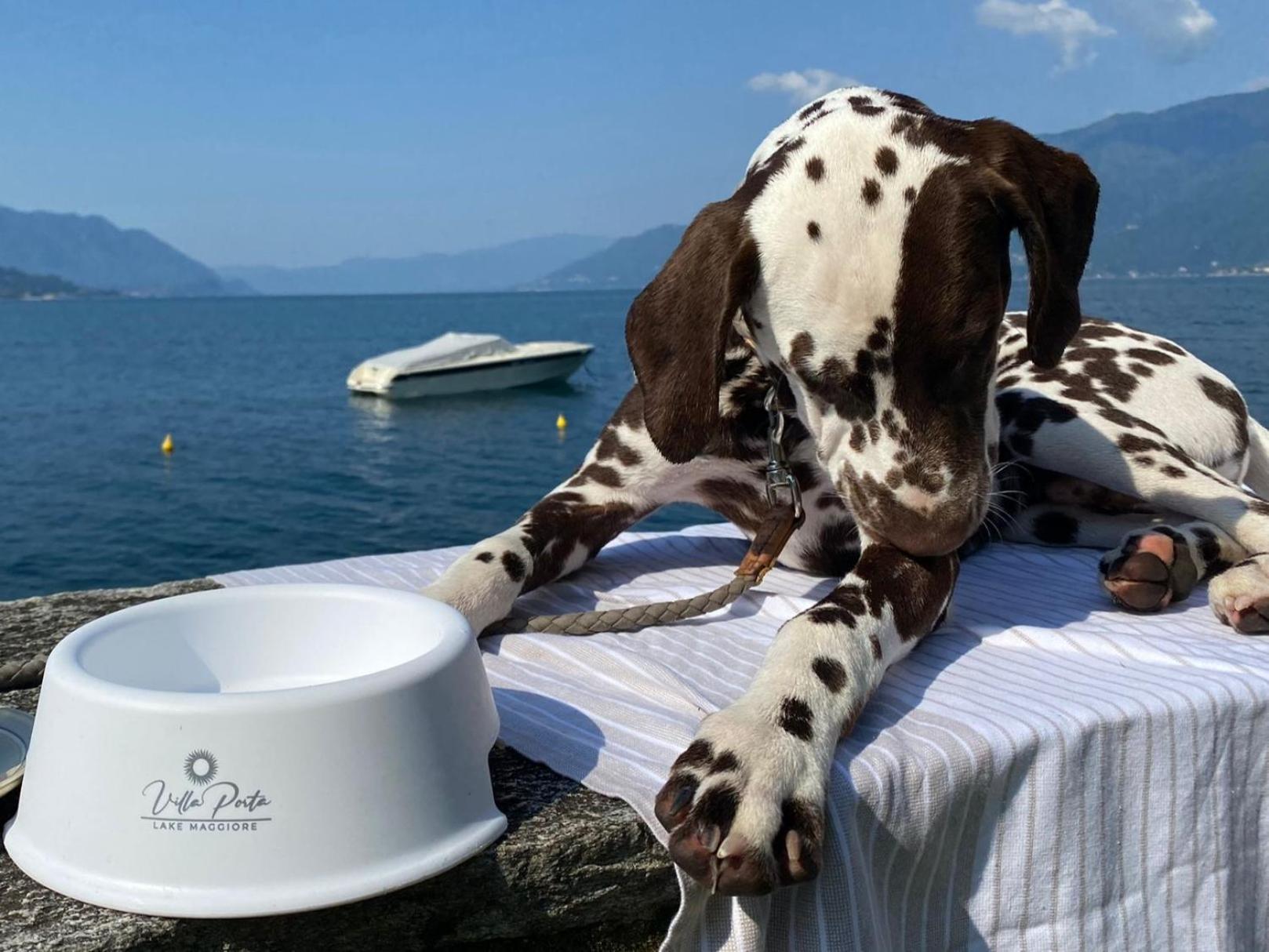 Relais Villa Porta ルイーノ エクステリア 写真